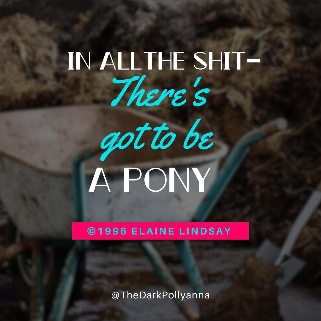 There's gotta be a pony in there somewhere! Says Elaine